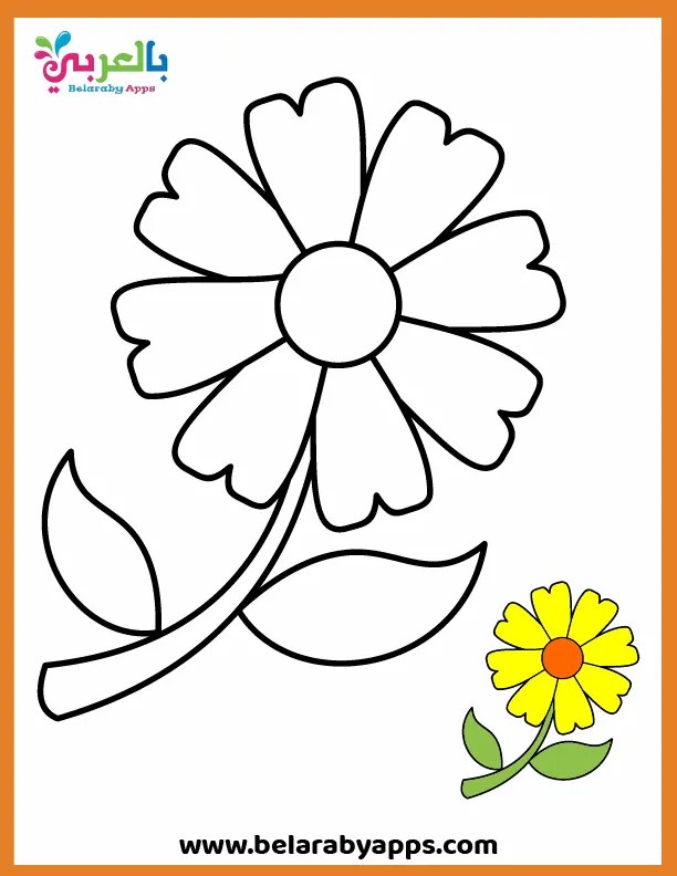 كتاب تلوين للأطفال زهور جميلة  كتاب تلوين للأطفال زهور جميلة